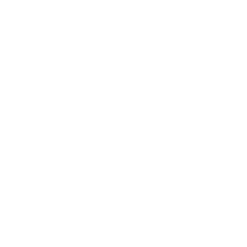 Hai Ge Ji Hainanese Chicken Rice