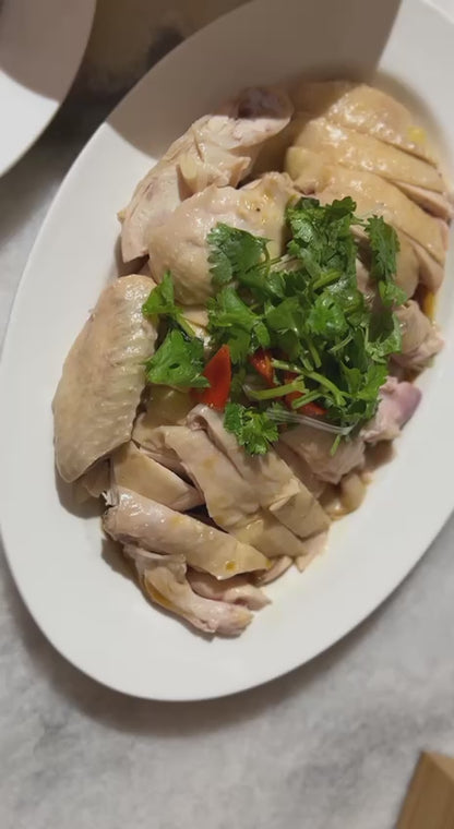 Steamed Chicken (Whole Bird)